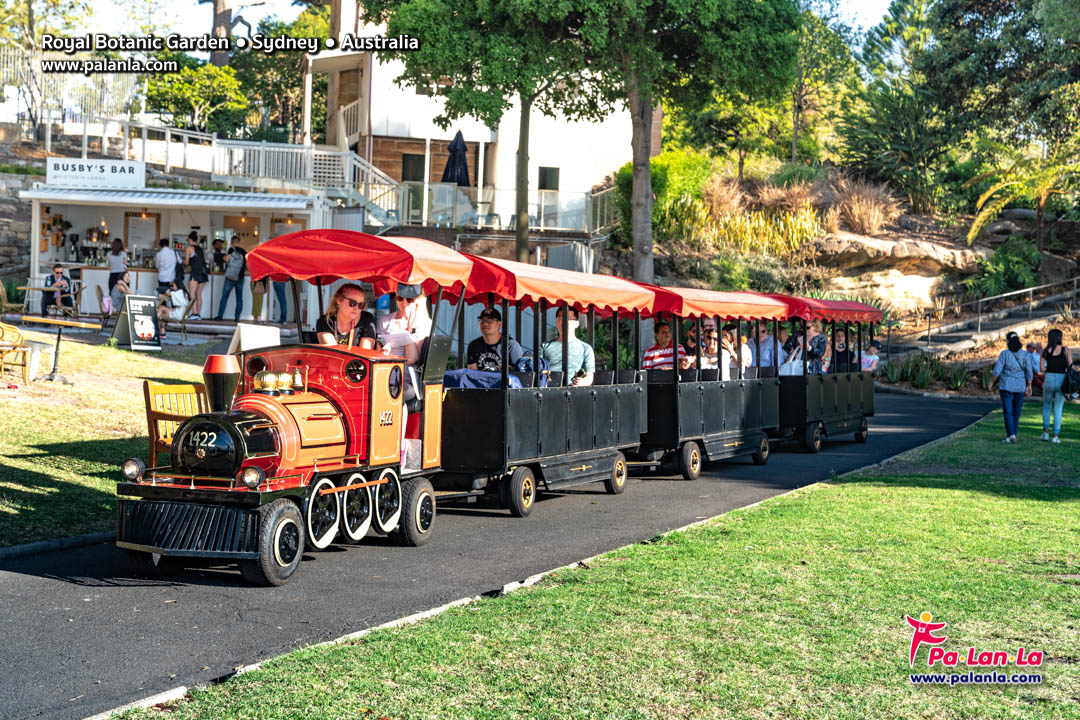 Royal Botanic Gardens